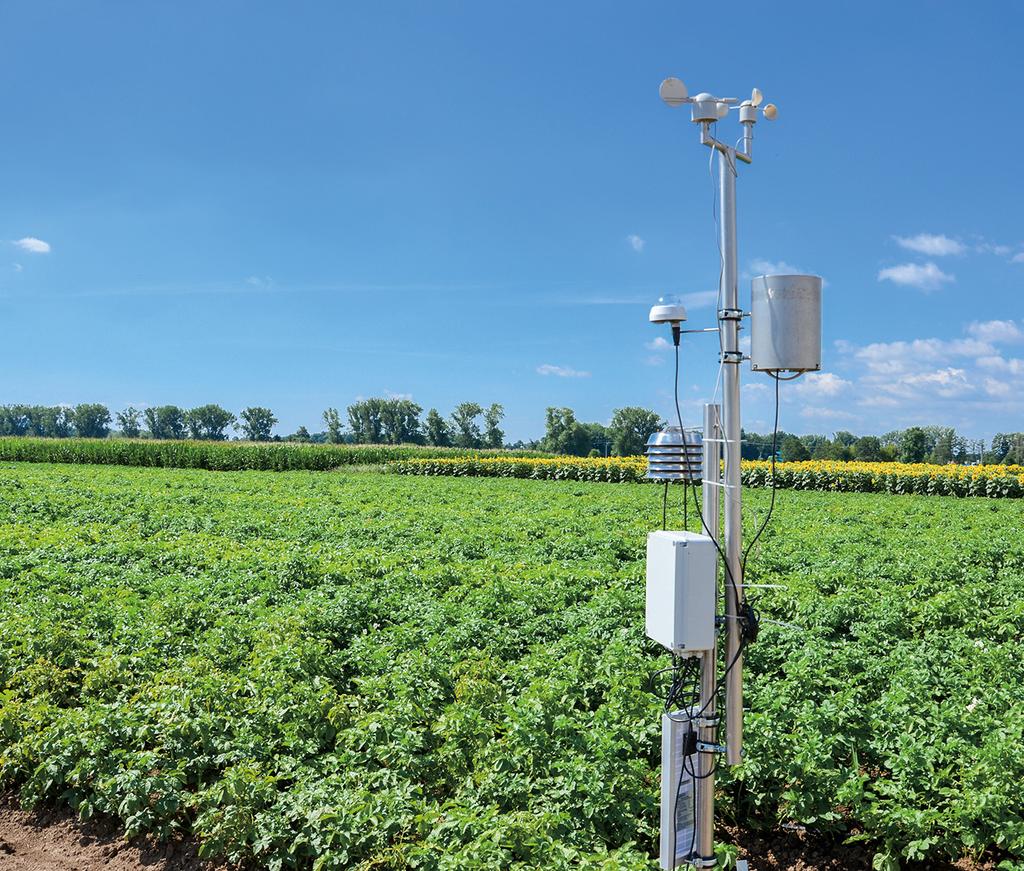 Automatická meteorologická stanice Řada PRAKTICKÉ INFORMACE Číslo 67. METODIKA NOVÉ PROGNÓZY A SIGNALIZACE PLÍSNĚ BRAMBORU NA ZÁKLADĚ STANOVENÍ HODNOTY INDEXU. Certifikovaná metodika (č.