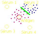 Mikroprecipitace v agaru princip Z prostředního důlku difunduje antigen (na obrázku červeně) Z pozitivního důlku se sérem difunduje protilátka (na