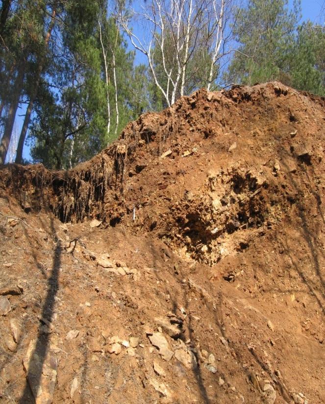 4.1.4 Kaňk Kutná Hora byla ve středověku jedním z nejvýznamnějších producentů stříbra v celé Evropě a jednou z hlavních ekonomických opor Českého království.