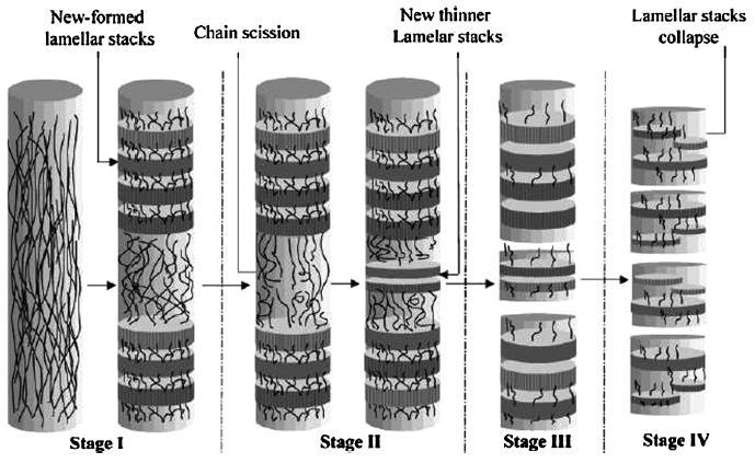 3.1 Biodegradace nanovlákenných materiálů Ve své práci Zong (2003) rozdělil mechanismus degradace polokrystalických PLGA nanovláken do čtyř fází (viz Obr. 8). V první fázi (během 1.