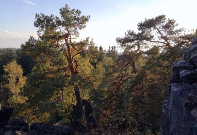 Ekologická stabilita