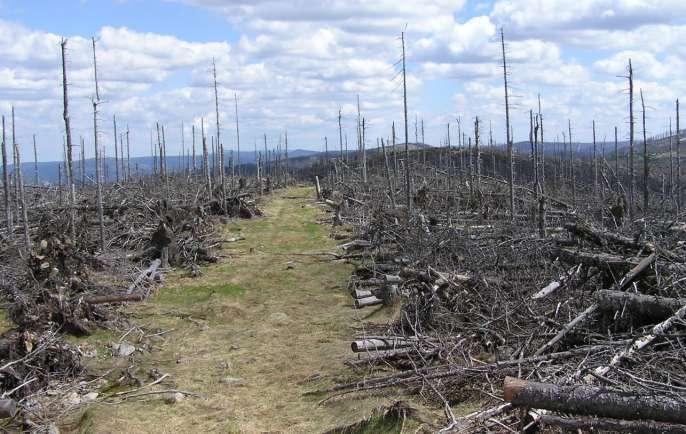 Nezdravá krajina hlavní ukazatele silné důsledky nepříznivých vlivů zvenčí a výkyvů počasí nedostatek kvalitních zdrojů