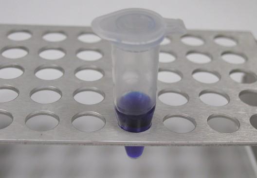 Nanášení vzorků PCR produkty se smíchají s nanášecím pufrem obarví je a zvýší