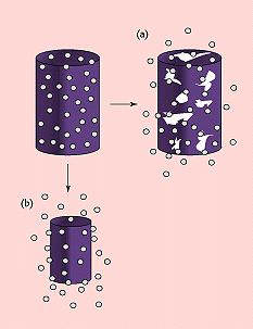 Degradace biodegradabilních polymerů a) Hydrolitická