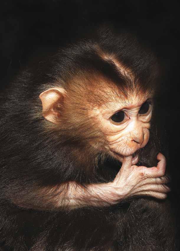Zoologická a botanická zahrada města Plzně