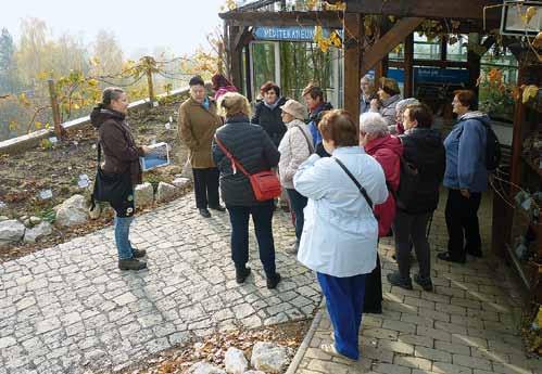 Klára Stuchlová se skupinou seniorů Klára Stuchlová with a group of seniors řady drobnějších výukových pomůcek, byla pořízena interaktivní dotyková tabule, která nabízí celou škálu možností využití