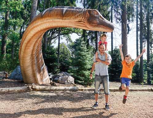 Summary For the 2018 season, the creative part of the DinoPark team heard out the wish of youngest visitors, to get to know not only adult dinosaurs but also their frolicking offspring.