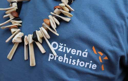 Replika pravěkého náhrdelníku A replica of a prehistoric necklace Summary In 2018 our main activity was focused on ongoing projects in Paleolithics and Bronze Age field.