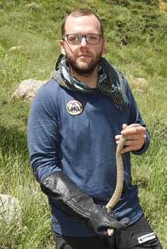 Jan Dohnal je zřejmě třetím člověkem na světě, který kdy měl tuto zmiji v ruce Jan Dohnal is probably the third man in the world, who has held this viper in hand so far 11. 6.