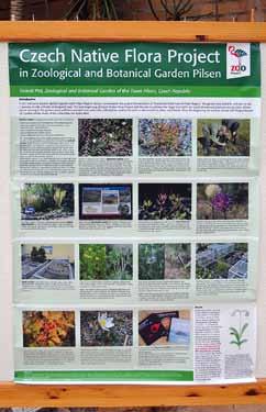 Further, we visited the Harold Porter NBG focused on the the flora of Fynbos and the Hantam NBG, which specializes on preservation of bulbous plants.