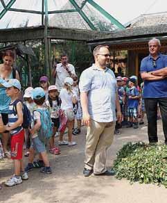 animals, events, plans, history and other zoos.