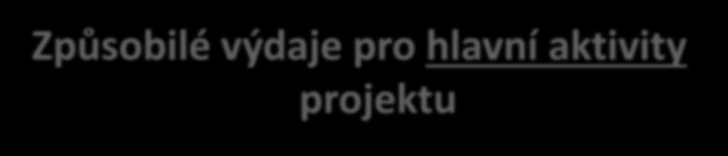 Způsobilé výdaje pro hlavní aktivity projektu konzervátorsko-restaurátorské dílny - pořízení nezbytného vybavení a zařízení, technické a technologické zázemí bezprostředně související se