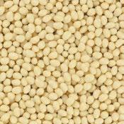 Tavná lepidla EVA Jowat granule Tavná lepidla EVA Hranitherm patrony J 8 Jowat granule: lepidla s nižší tavnou teplotou J 9 Hranitherm patrony ijowatherm i 282.20 natur 282.