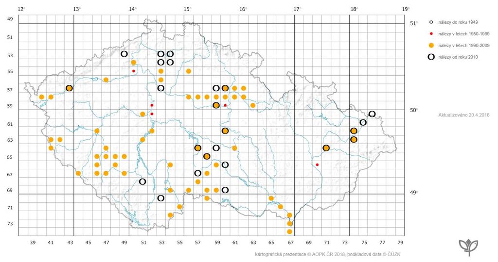 PRAKTICKÁ ČÁST Obr. 13. Výskyt druhu Physa fontinalis podle záznamů v ND OP (2018) [11] Physella acuta (Draparnaud, 1805) - levohrotka ostrá (Příl. 9, obr.