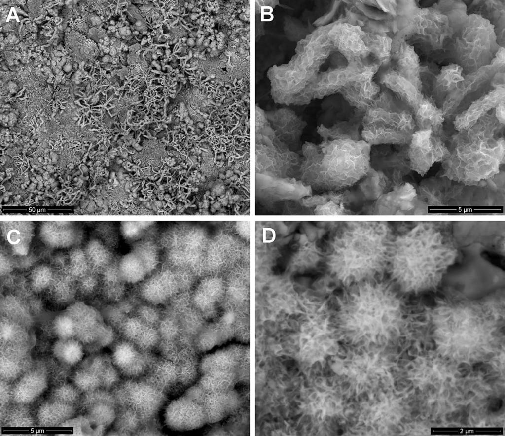 Bull Mineral Petrolog 25, 1, 2017. ISSN 2570-7337 (print); 2570-7345 (online) 61 rodních fází se velmi často vyskytuje i velmi silně limitovaná krystalinita a běžným jevem je i vysoký stupeň tzv.
