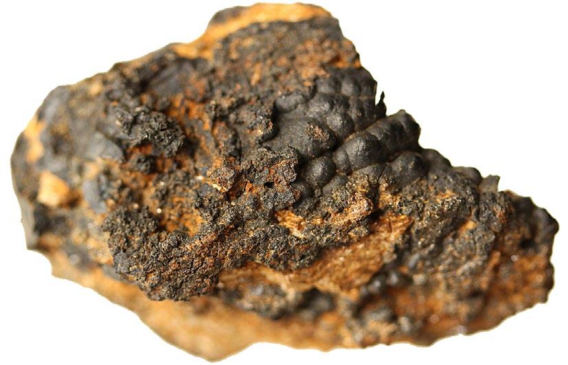 62 Bull Mineral Petrolog 25, 1, 2017. ISSN 2570-7337 (print); 2570-7345 (online) Obr. 3 Černošedý ledvinitý agregát hollanditu z Vlčevsi. Velikost 4 2,5 cm. Sbírka Národního muzea Praha, foto J.