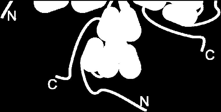 Shaker-like, kanálům aktivovaným cyklickými nukleotidy či kanálům aktivovaným hyperpolarizací (Harteneck et al., 2000, Ramsey et al., 2006).