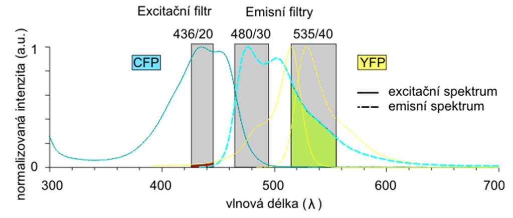 FRET signál F ( 0.67 * F ) ( 0.
