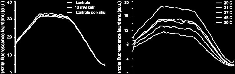 Navíc data mohou být ovlivněna tím, že je laurdan přítomen i ve vnitřních membránách, kterých je v buňce několikanásobně větší objem, než membrány plazmatické (Lodish et al., 2004).