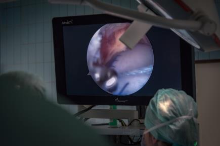 rehabilitační zařízení si můžou vybrat. Od března užívá Ortopedická klinika nový web ortopedie.fnol.cz. Byla tak jedním z prvních pracovišť, která internetovou prezentaci v novém formátu připravila.