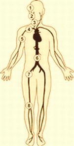 prvni-pomoc.com/view.php?