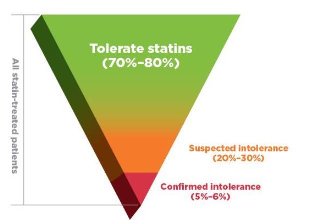 Definice statinové intolerance (SAMS) SAMS Statin-associated muscle symptoms SAM Statin-associated myopathy Myalgie