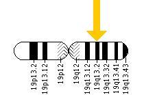 Dysbetalipoproteinémie Geneticky podmíněné onemocnění (izoforma Apo E2) Lokalizace ApoE lokusu na 19.