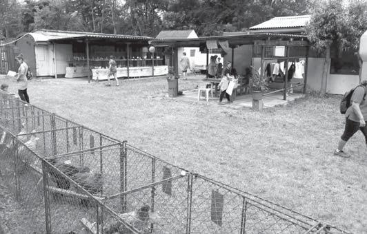 16 Život v Rudné Zhodnocení 1. Krajské výstavy mladých chovatelů ZO ČSCH Rudná Uběhl téměř měsíc od 1. krajské výstavy mladých chovatelů naší organizace a je tedy čas k jejímu zhodnocení.