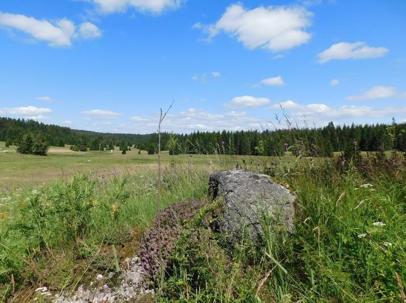 KALENDÁŘ TURISTICKÝCH