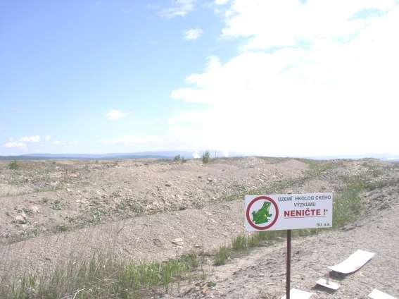Obnova půd na výsypkách po povrchové těžbě uhlí vliv klimatu a vegetace Jan Frouz L. Háněl.
