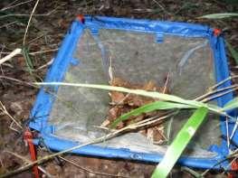 548 C in soil organic matter (t ha-1) 0 10 20 30 40 50 60 70 C in soil organic matter (t ha -1 ) litter input (g m -2 year -1 ) 800