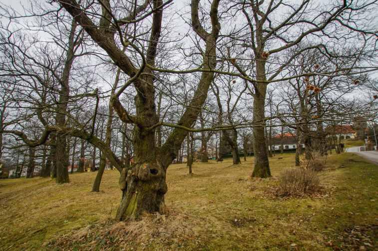 Nasavrcký zámek, Kaštanka, rozhledna Boiika a keltský archeoskanzen 2 1 3 Keltský archeoskanzen Země Keltů (3): parkoviště u skanzenu,