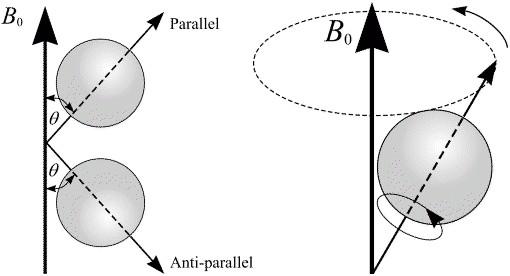 Jaderná magnetická