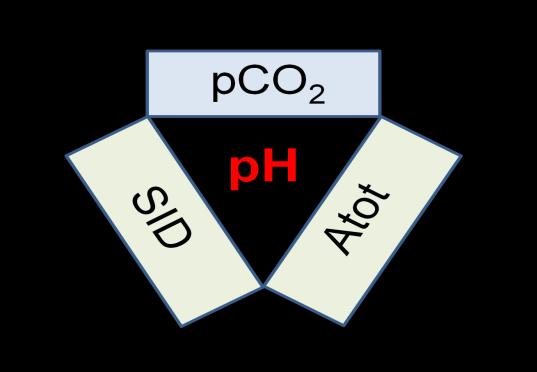 [SID] = [Na + ] + [K + ] + [Ca ++ ] + [Mg ++ ] [Cl - ] - [UA - ] (1) 3. [Atot - ] (2) koncentrace neprchavých slabých kyselin, tj.