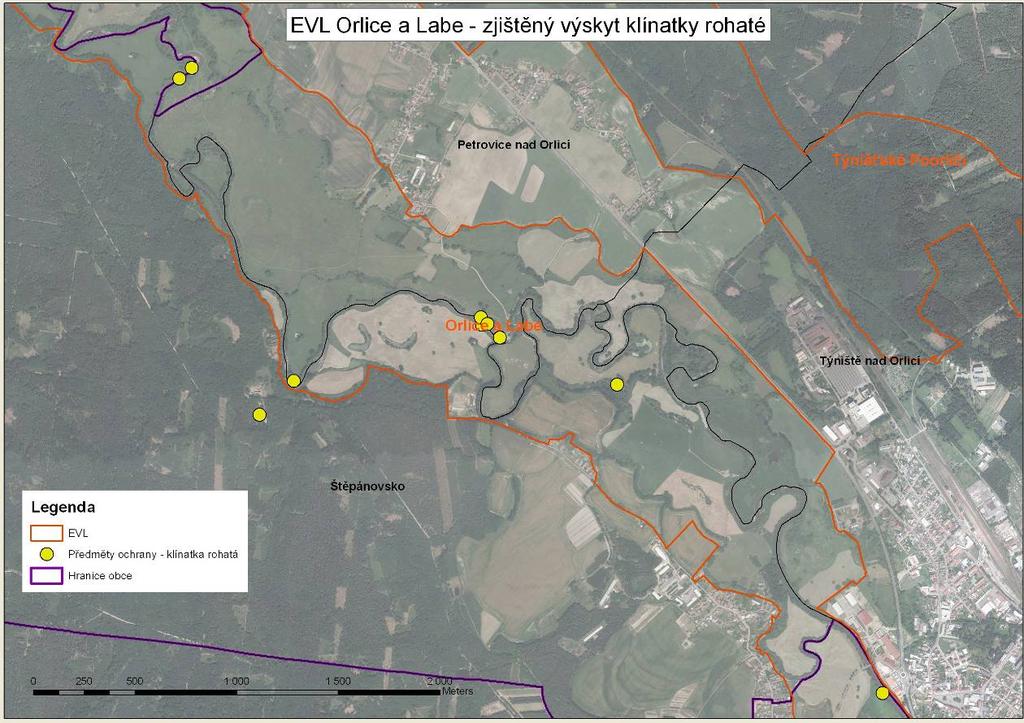 Obr. č. 2: Zjištěný výskyt křídlatky rohaté v EVL Orlice a Labe Zdroj: AOPK 3.2.2.2.3 Vydra říční (lutra lutra) V rámci svého areálu osídluje vydra říční téměř všechny typy vodních biotopů od vodních toků přes jezera, mokřady a skalnatá mořská pobřeží.
