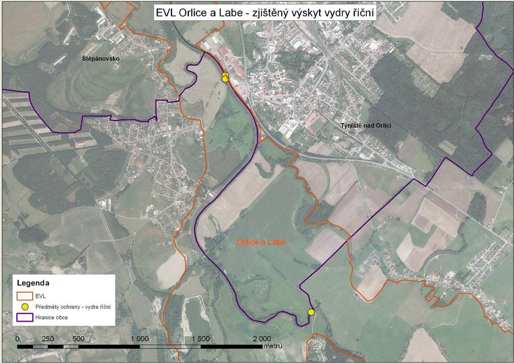 Obr. č. 3: Zjištěný výskyt vydry říční v EVL Orlice a Labe Zdroj: AOPK 3.2.