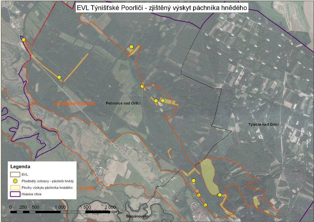 3.2.3.1 Předmět ochrany - Páchník hnědý (osmoderma eremita) Páchník hnědý je saproxylofágem, typickým druhem osidlujícím stromové dutiny. Preferuje pravděpodobně osvětlené dutiny.