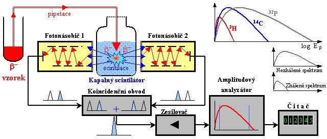 Foto- a termoluminiscenční detektory Phosphorimager: Schopný zaznamenat 2D obrázky. Zobrazuje místa která jsou radioaktivní. Je schopen detekovat především γ, β a také RTG záření.