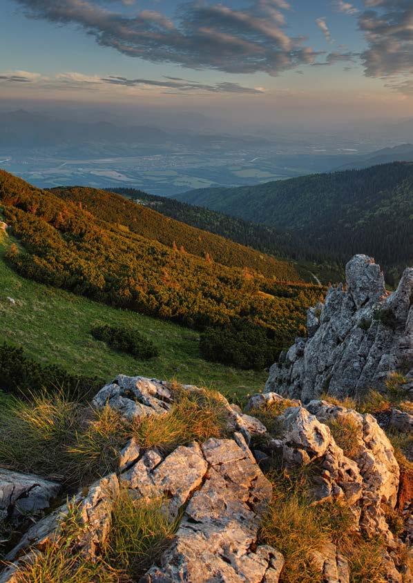 7 silných stránek kamenné vlny Odolnost vůči požáru Odolává teplotám až do 1000 C. Tepelné vlastnosti Zachovává optimální vnitřní teplotu a komfort. Akustické vlastnosti Pohlcuje nebo tlumí zvuky.