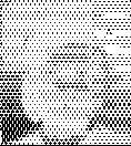 projektu: Tereza Hofreitrová Politických vězňů 5, 301 00 Plzeň M: