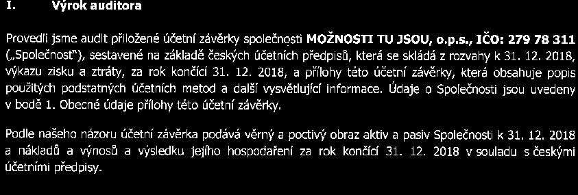 ZPRÁVA AUDITORA Výňatek