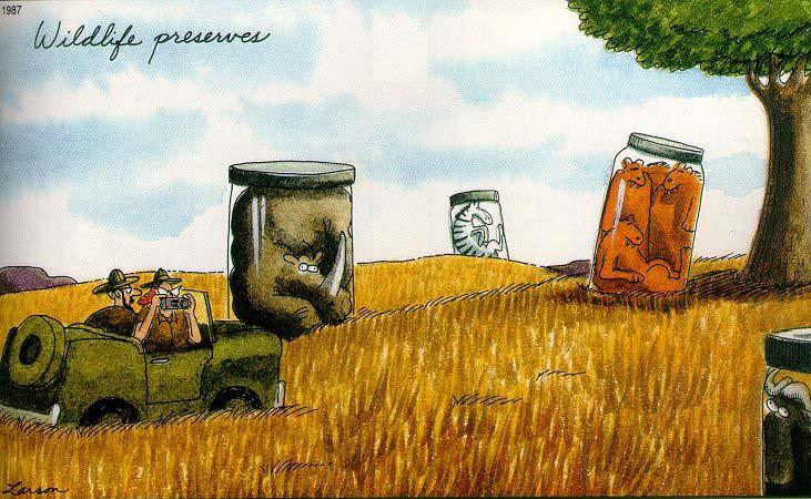 Zerschneidung und