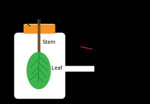 water potential (MPa) Vliv