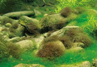 Odbor se skládá ze čtyř oddělení oddělení hydrochemie, oddělení mikrobiologie, oddělení hydrobiologie a oddělení radioekologie, jejichž zaměření umožňuje komplexní výzkum stavu hydrosféry a procesů v