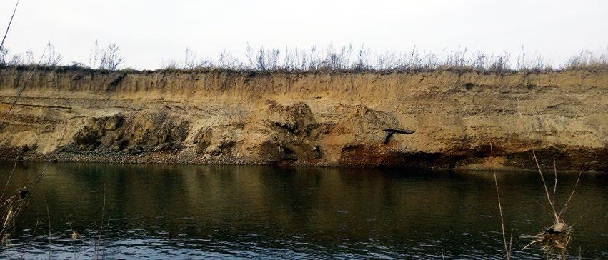 ODBOR APLIKOVANÉ EKOLOGIE Odbor aplikované ekologie se zabývá především sledováním a hodnocením vývoje přirozených i antropogenně ovlivněných vodních ekosystémů a jejich biologických složek.