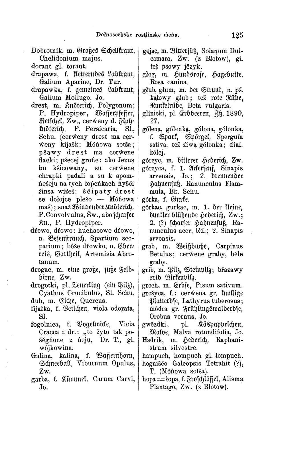 Dołnoserbske rostlinske eńa. 125 Dobrotnik, m. Großes Schellkraut, Chelidonium majus. dorant gl. torant. drapawa, f. kletterndes Labkraut, Galium Aparine, Dr. Tur. drapawka, f.