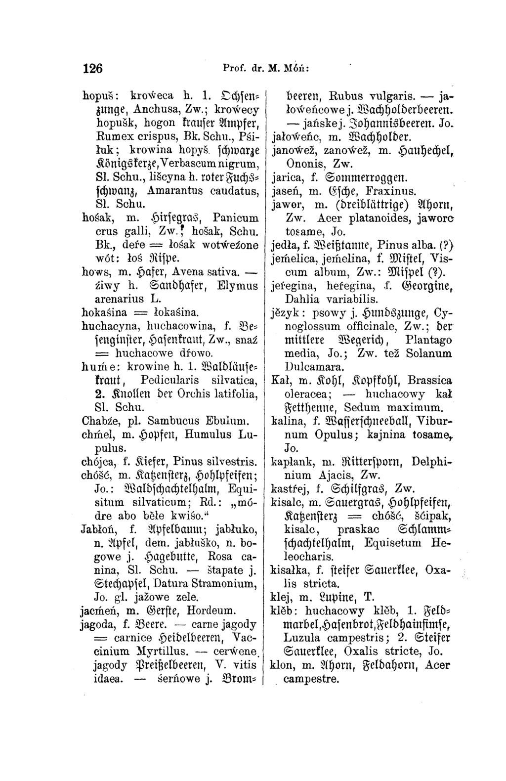 126 Prof. dr. M. Móń: hopuš: kroẃeca h. 1. Ochsen zunge, Anchusa, Zw.; kroẃecy hopušk, hogon krauser Ampfer, Rumex crispus, Bk. Schu., Pśi łuk; krowina hopyš.