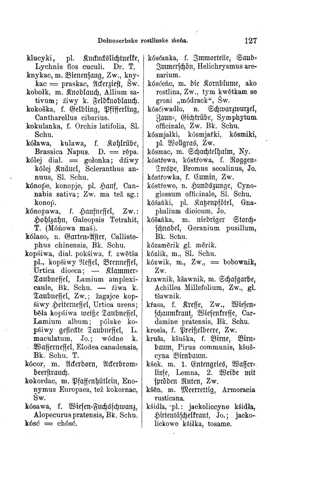 klucyki, pl. Kuckuckslichtnelke, Lychnis flos cuculi. Dr. T. knykac, m. Bienensaug, Zw., kny kac = praskac, Ackerziest, Šw. kobołk, m. Knoblauch, Allium sa tivum; źiwy k. Feldknoblauch. kokoška, f.