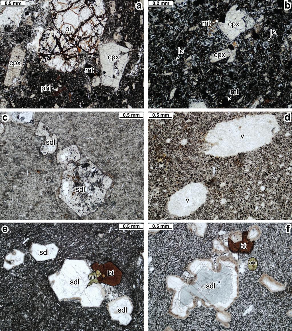 14 Rapprich, V. et al. (2019): Phonolite and trachyte dykes on Huseň Hill in the Doupovské hory Obr. 3. Mikrofotografie studovaných hornin. Všechny snímky v plošně polarizovaném světle.
