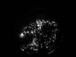 LIGHT ~ Trans